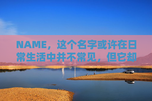 NAME，这个名字或许在日常生活中并不常见，但它却在某些领域里扮演着重要的角色。今天，让我们一起来探索这个名字背后的故事和意义